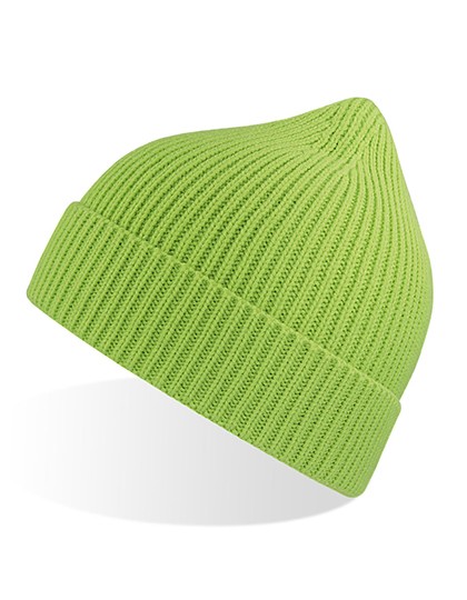 AT103 Andy Beanie