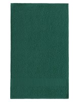 NT9140 Gästehandtuch